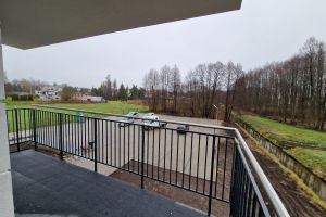 Zdjęcie: 010.jpg