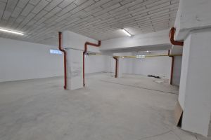 Zdjęcie: 20241228_100202.jpg