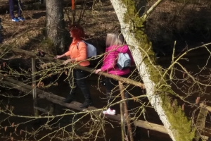 Zdjęcie: 20190323_112042.jpg