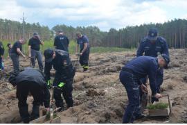 <b>Policjanci wzięli udział w akcji sadzenia drzew</b>